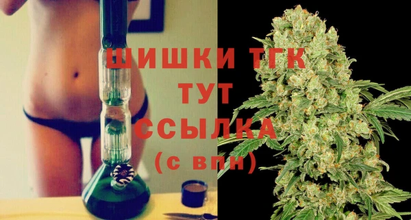 дмт Нягань