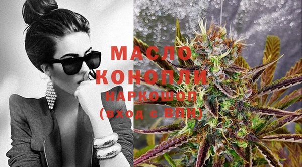 дмт Нягань
