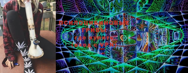 круглые Няндома